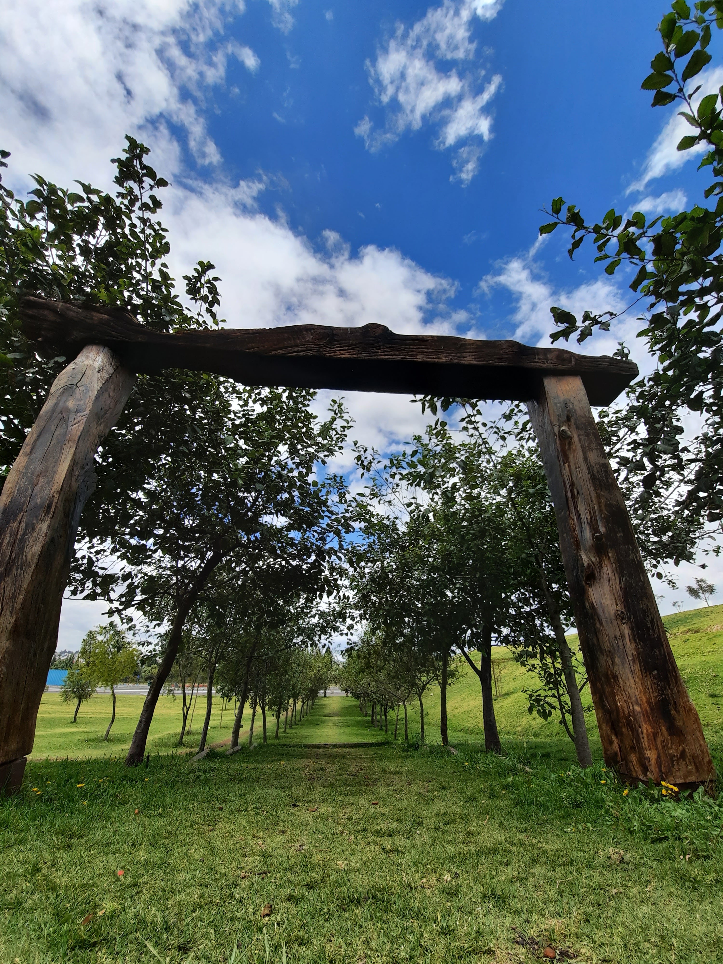 Parque Bicentenario 12